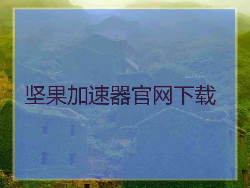 坚果加速器官网下载