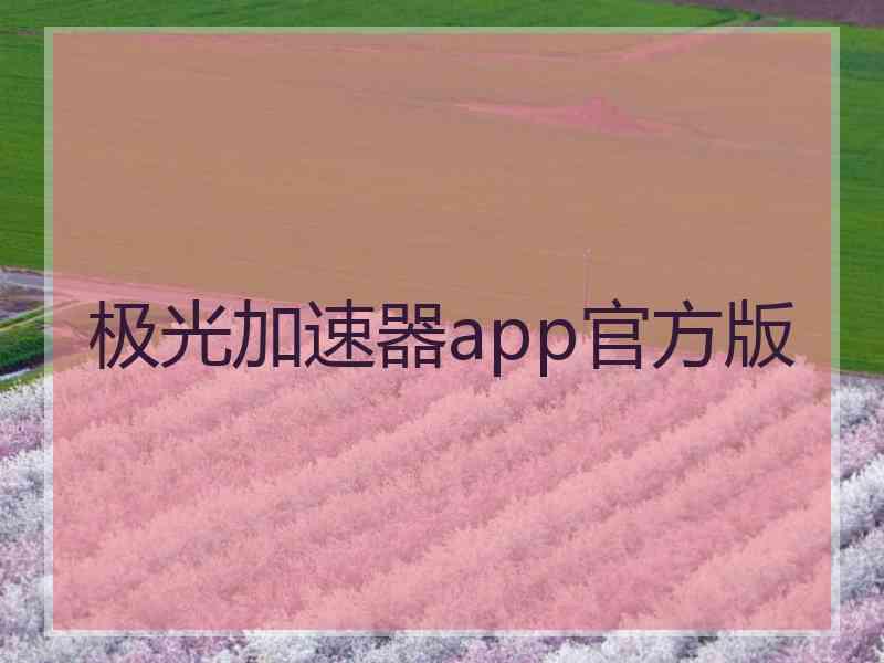 极光加速器app官方版