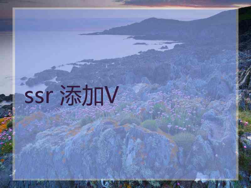 ssr 添加V