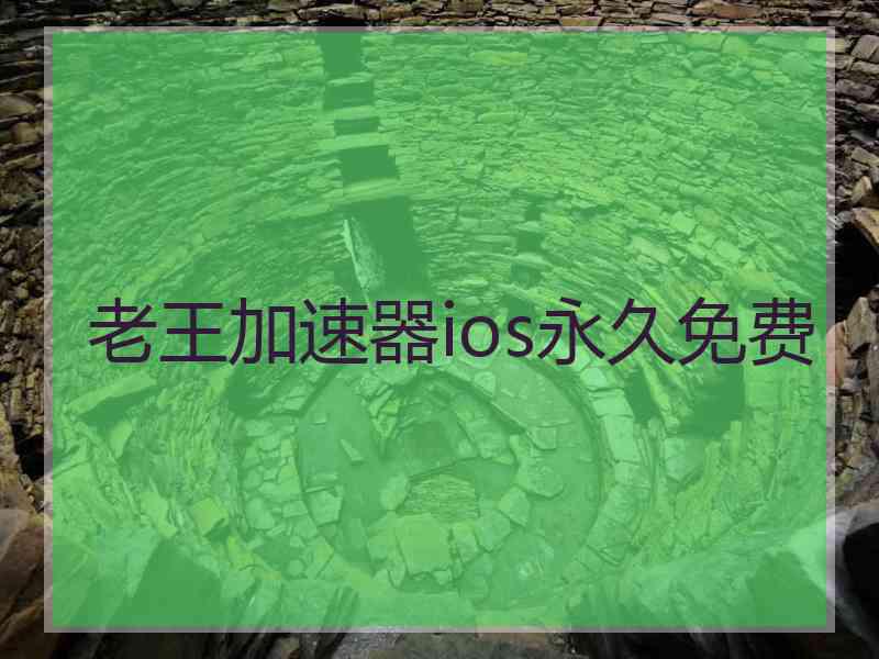 老王加速器ios永久免费