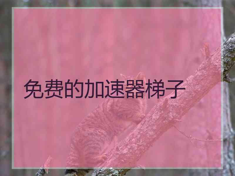 免费的加速器梯子