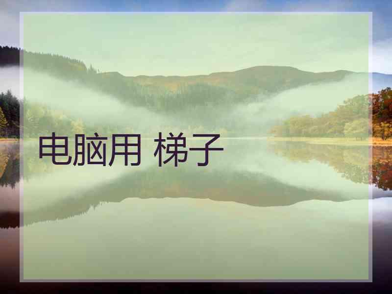 电脑用 梯子