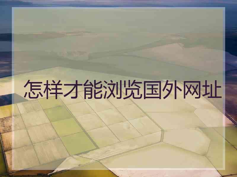 怎样才能浏览国外网址