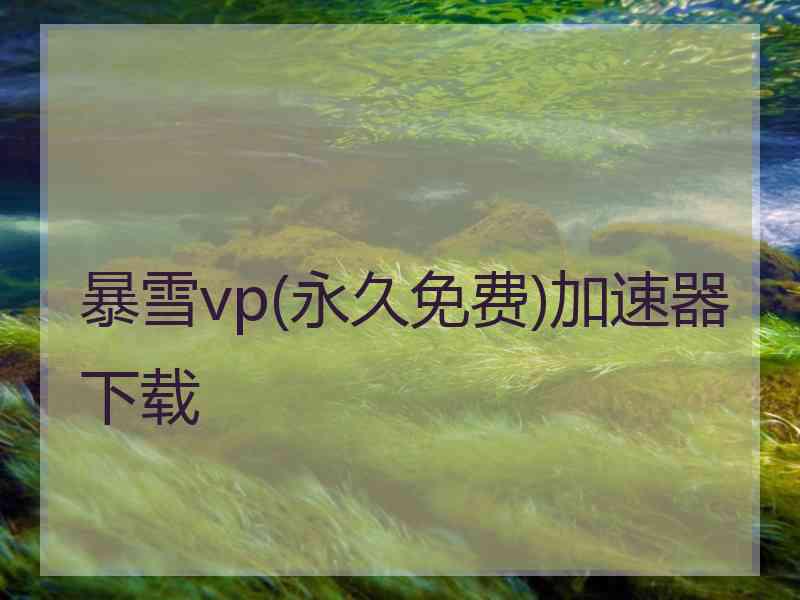 暴雪vp(永久免费)加速器下载