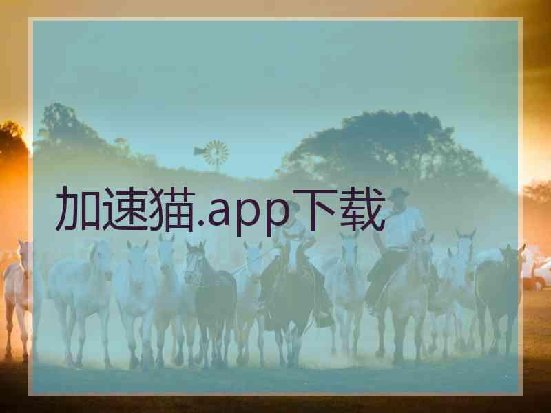 加速猫.app下载