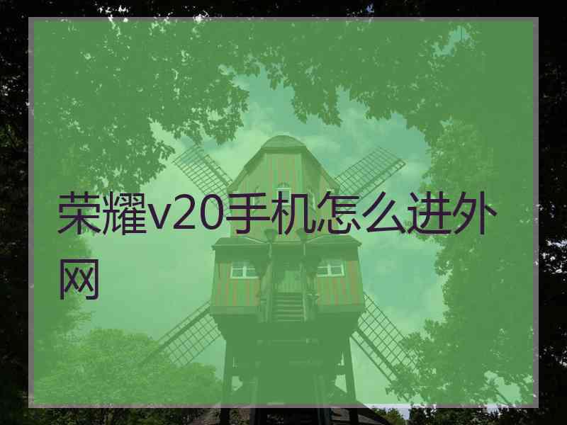 荣耀v20手机怎么进外网